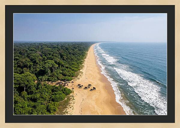 Loango Coastline From Above