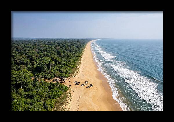 Loango Coastline From Above