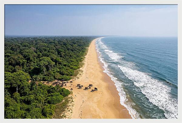 Loango Coastline From Above
