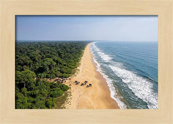 Loango Coastline From Above