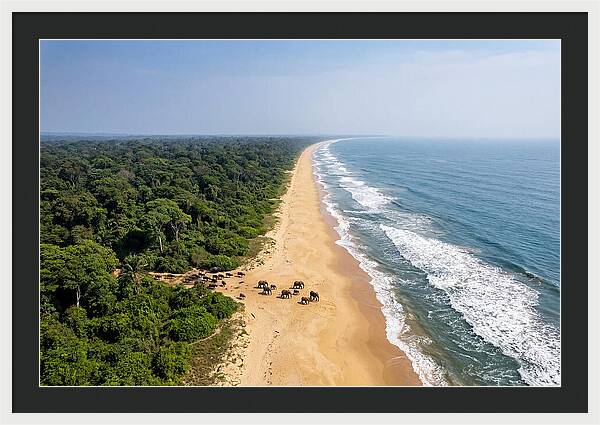 Loango Coastline From Above