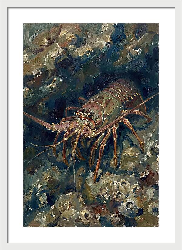 Lobster Among Coral Reefs