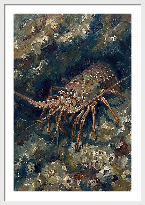 Lobster Among Coral Reefs