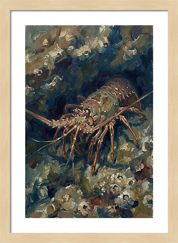 Lobster Among Coral Reefs