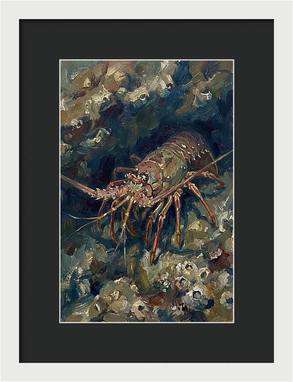Lobster Among Coral Reefs