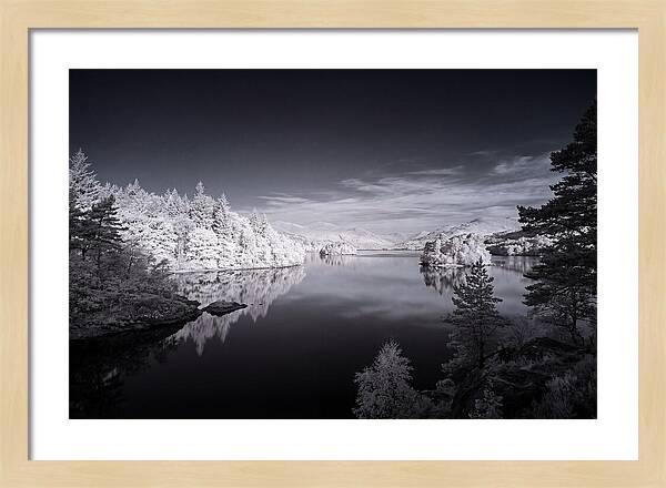 Loch Lomond At Dawn