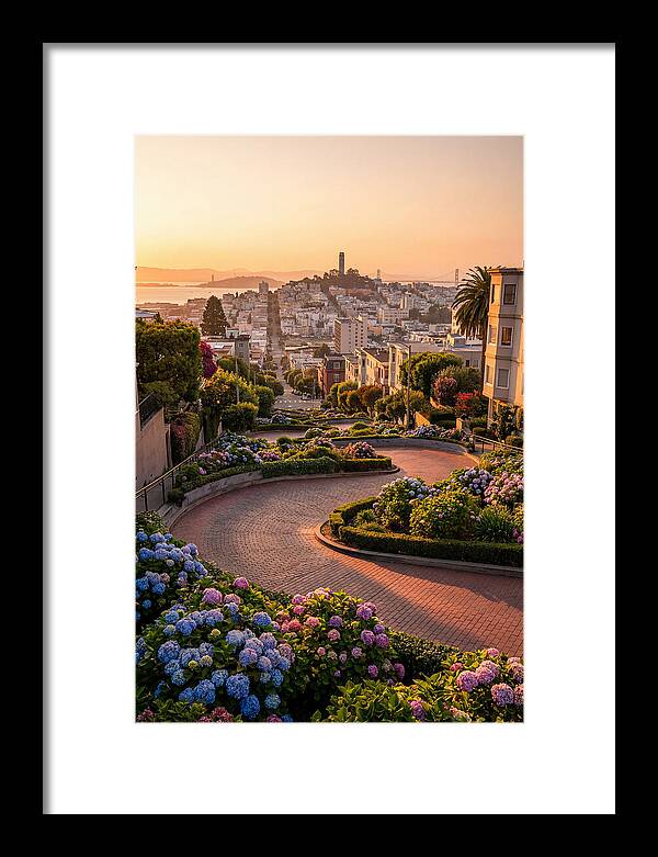 Lombard Street Curves At Golden Hour