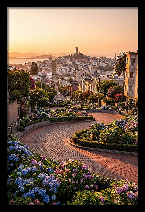 Lombard Street Curves At Golden Hour