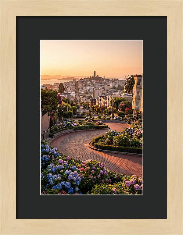 Lombard Street Curves At Golden Hour