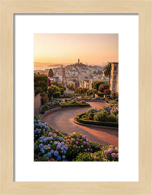 Lombard Street Curves At Golden Hour