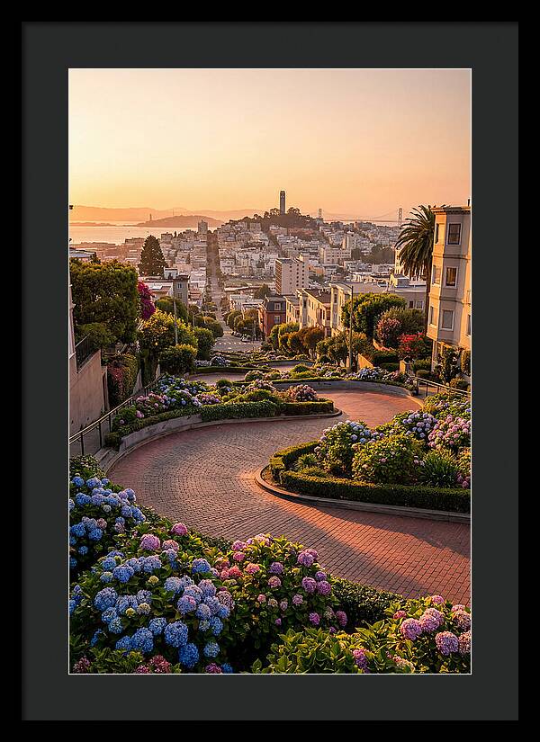Lombard Street Curves At Golden Hour