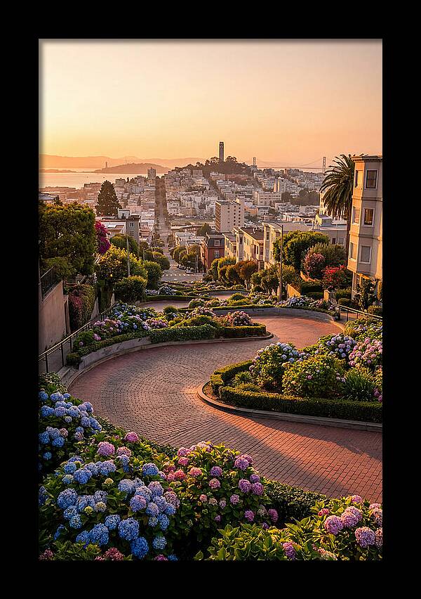 Lombard Street Curves At Golden Hour