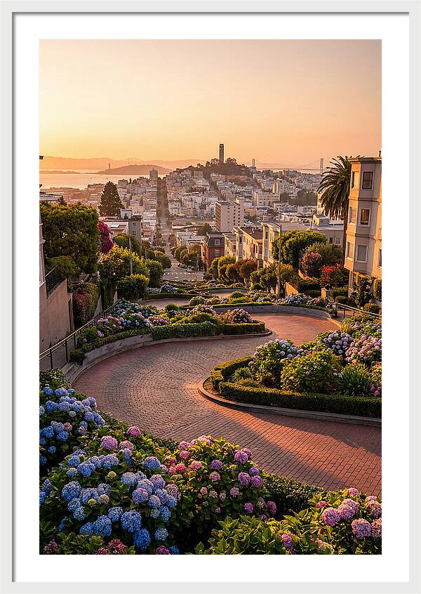 Lombard Street Curves At Golden Hour