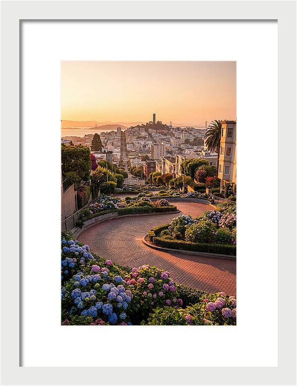 Lombard Street Curves At Golden Hour