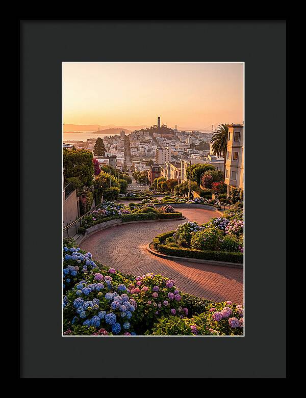 Lombard Street Curves At Golden Hour