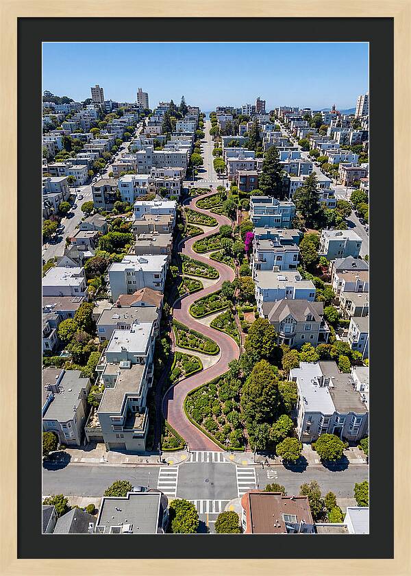 Lombard Streets Iconic Curves