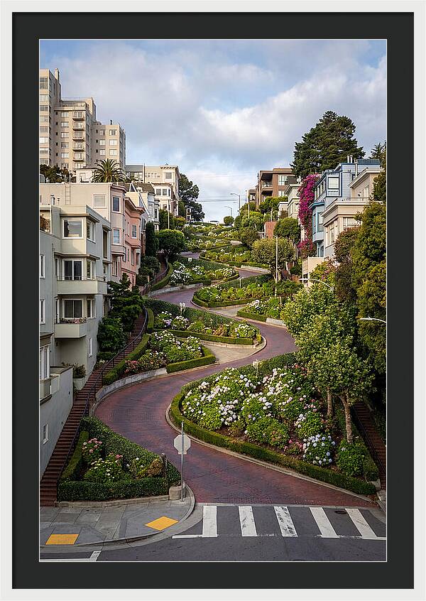 Lombard Streets Serpentine Charm
