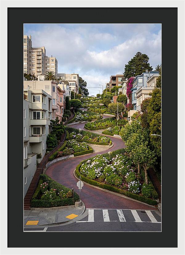 Lombard Streets Serpentine Charm