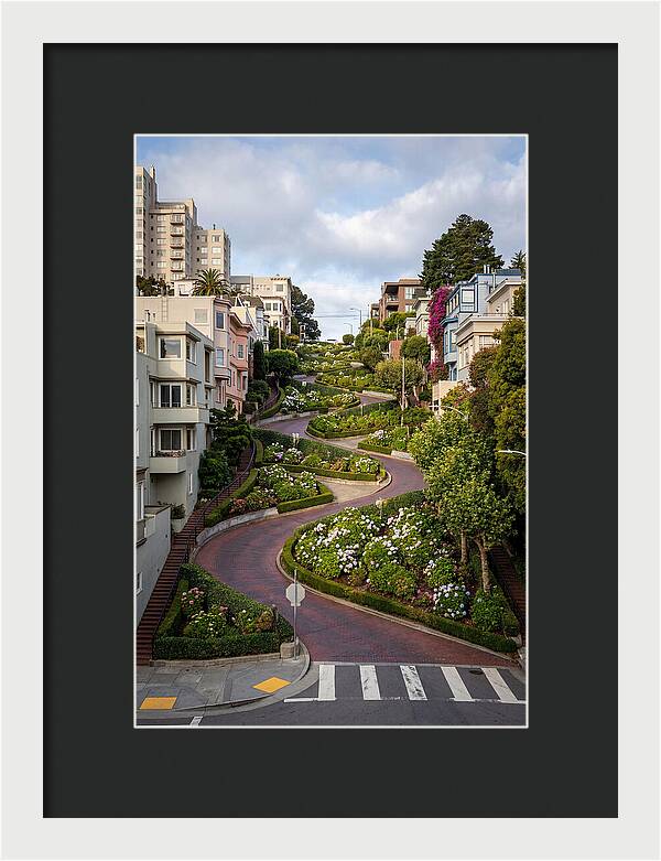 Lombard Streets Serpentine Charm