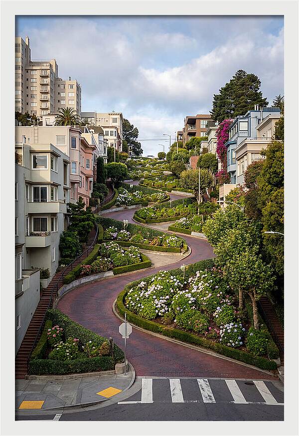 Lombard Streets Serpentine Charm