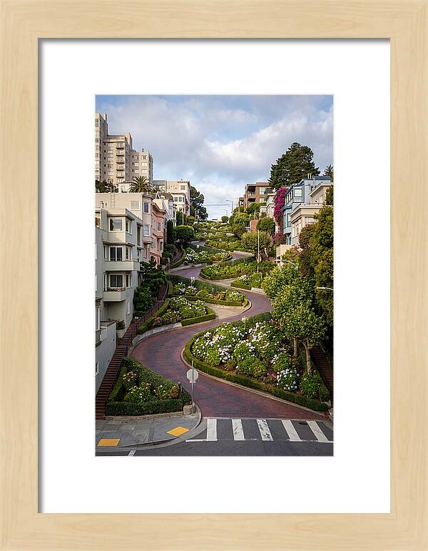 Lombard Streets Serpentine Charm