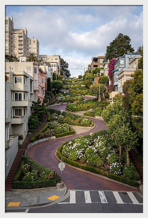 Lombard Streets Serpentine Charm