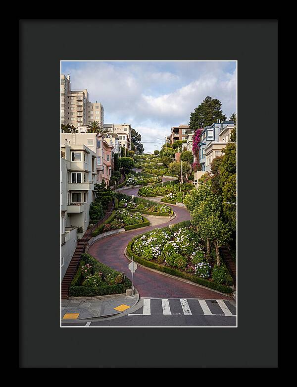 Lombard Streets Serpentine Charm