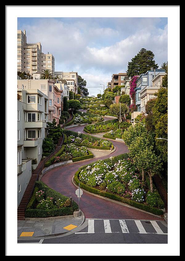 Lombard Streets Serpentine Charm