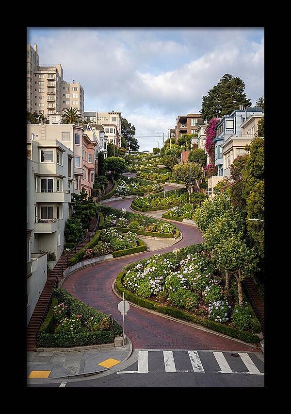 Lombard Streets Serpentine Charm