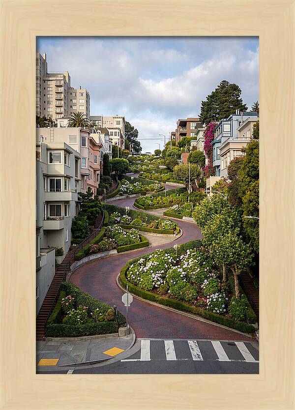 Lombard Streets Serpentine Charm