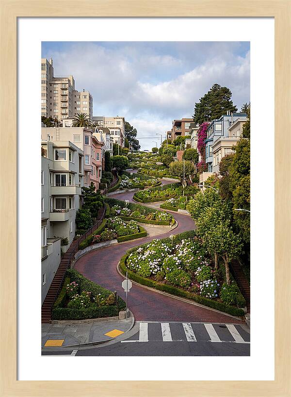 Lombard Streets Serpentine Charm