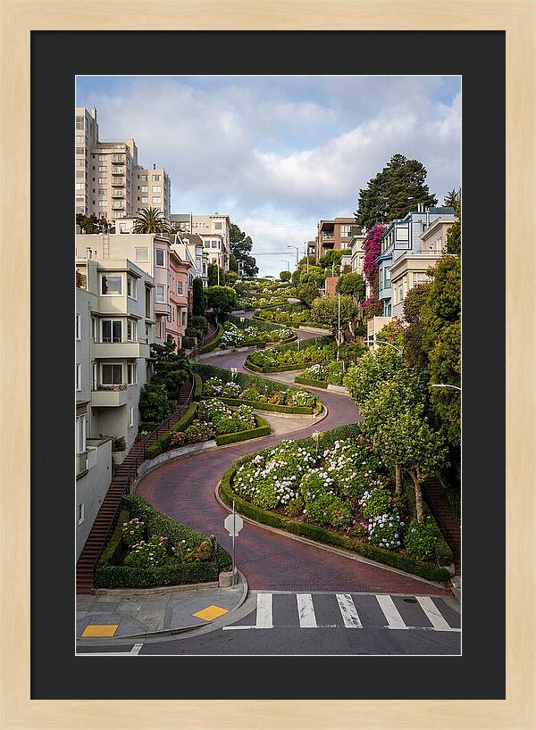 Lombard Streets Serpentine Charm