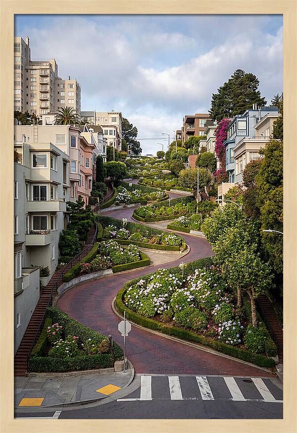 Lombard Streets Serpentine Charm