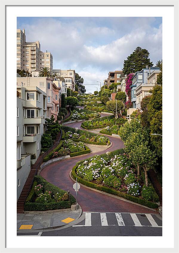 Lombard Streets Serpentine Charm