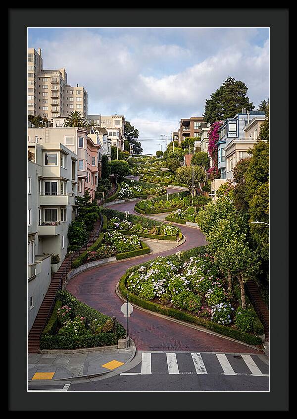 Lombard Streets Serpentine Charm