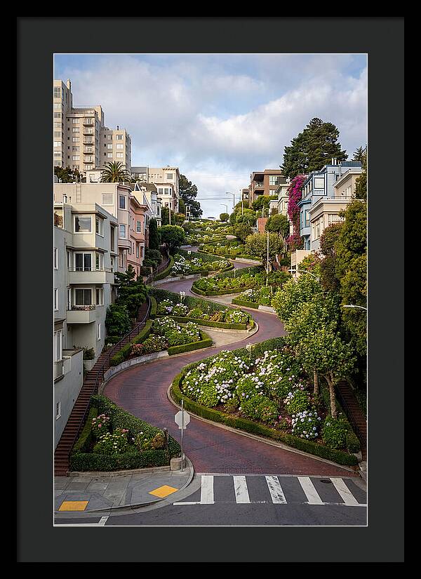 Lombard Streets Serpentine Charm