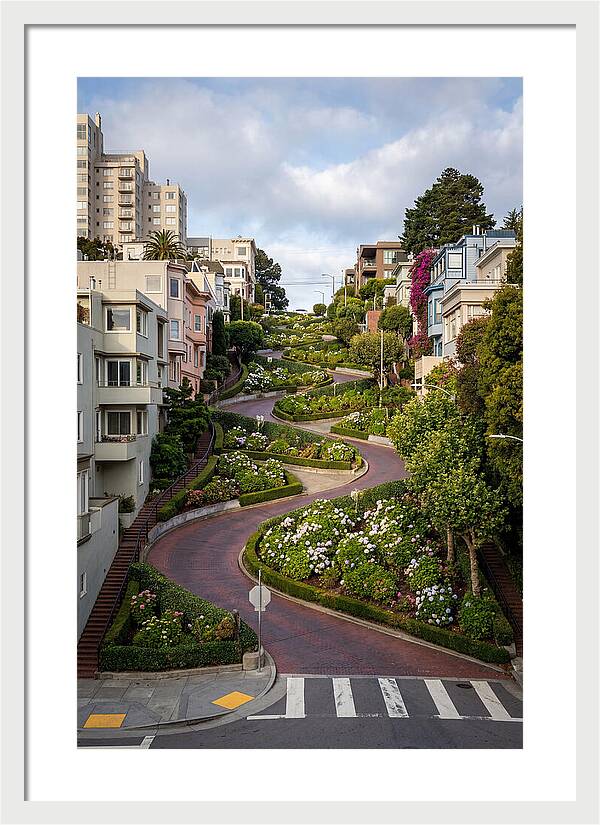 Lombard Streets Serpentine Charm