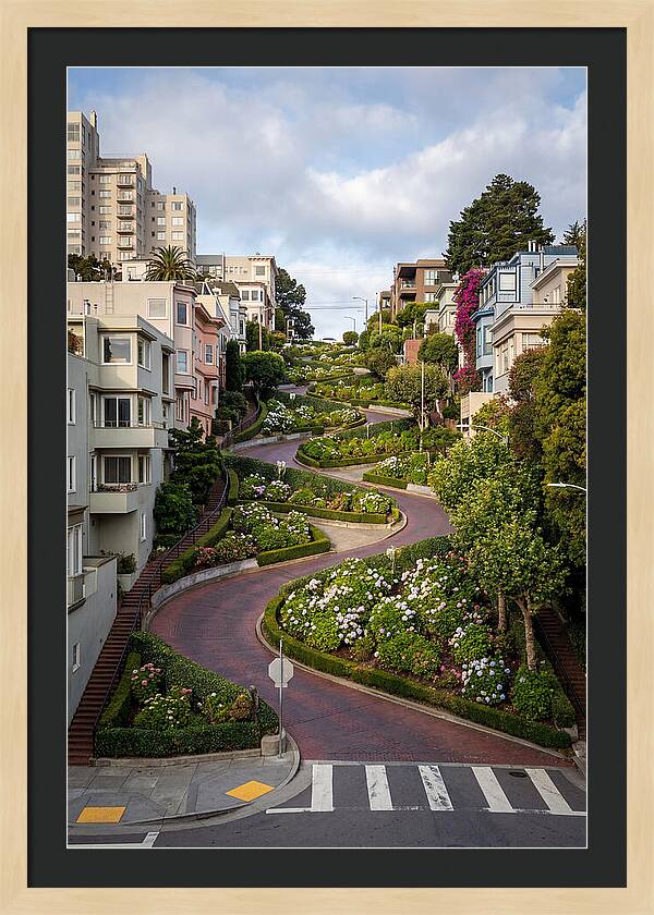Lombard Streets Serpentine Charm