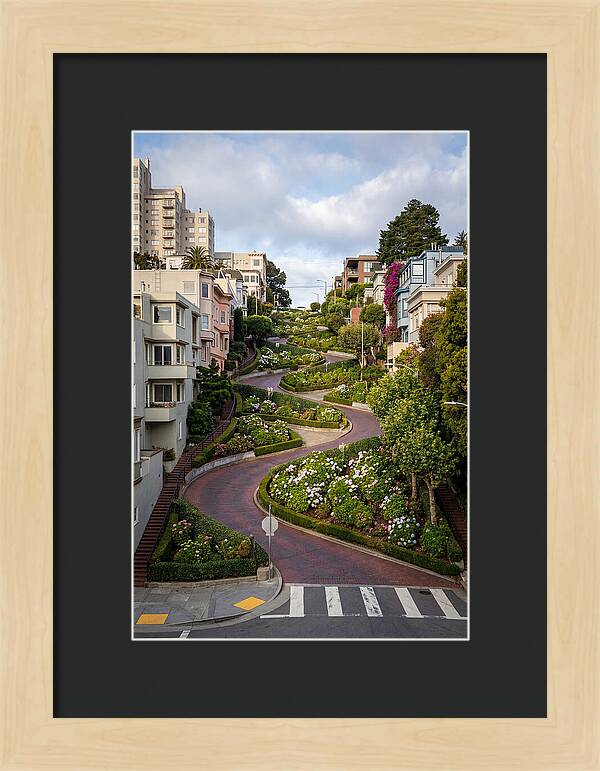 Lombard Streets Serpentine Charm
