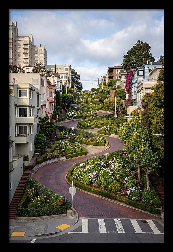 Lombard Streets Serpentine Charm