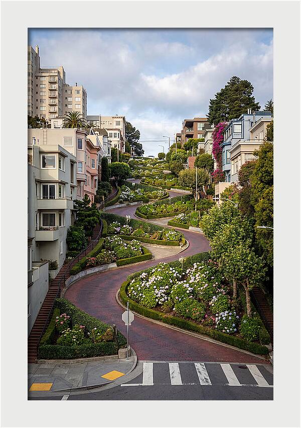 Lombard Streets Serpentine Charm