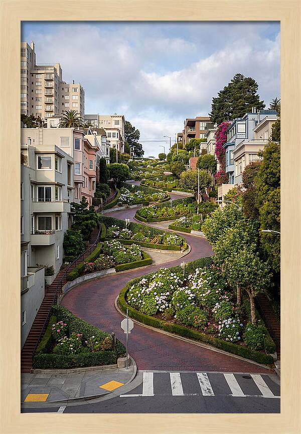 Lombard Streets Serpentine Charm