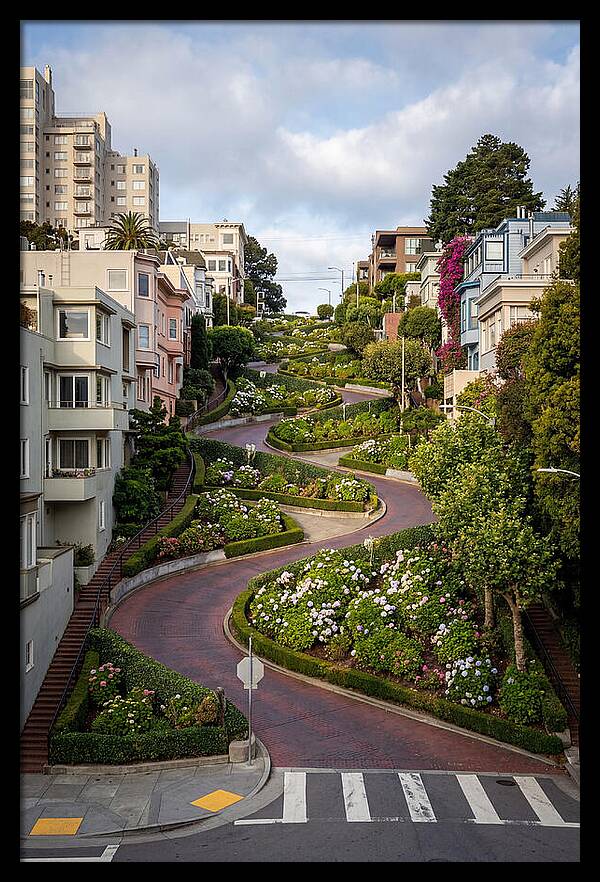 Lombard Streets Serpentine Charm
