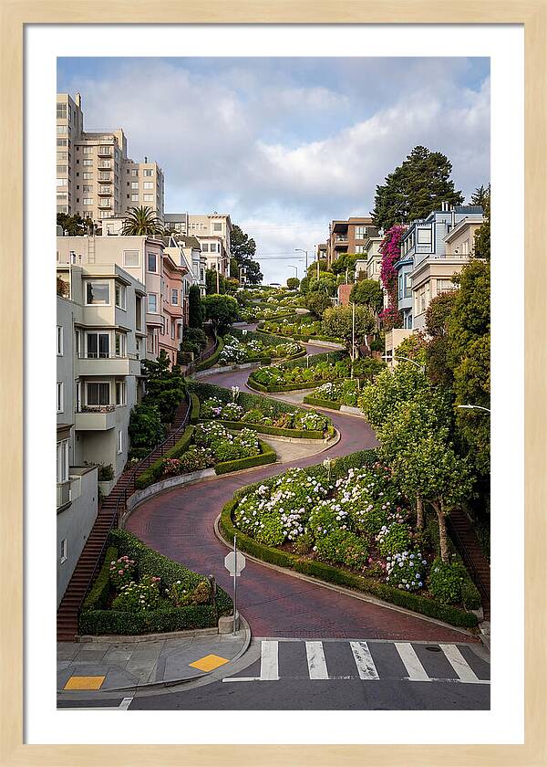 Lombard Streets Serpentine Charm