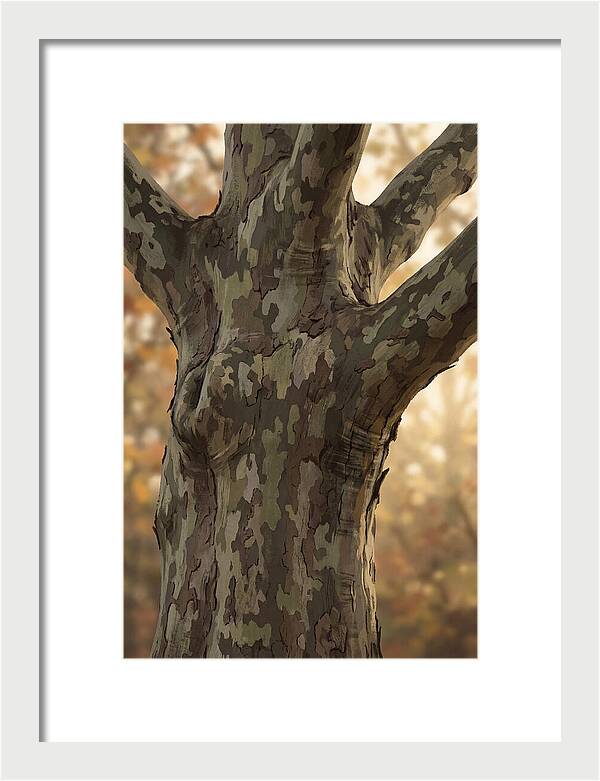 London Plane Tree Camouflage