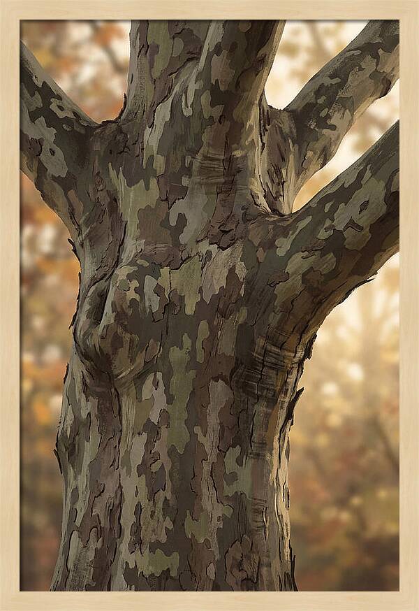 London Plane Tree Camouflage