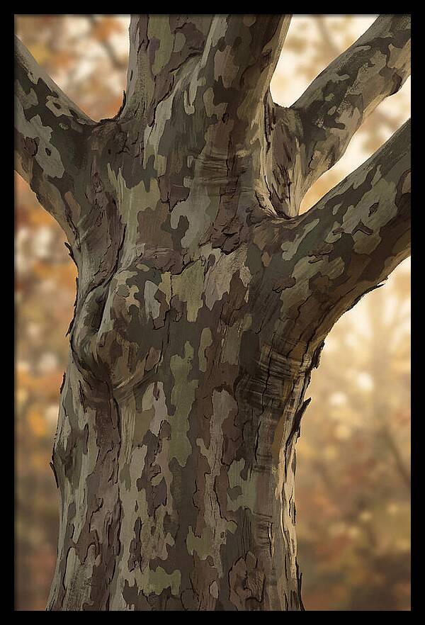London Plane Tree Camouflage