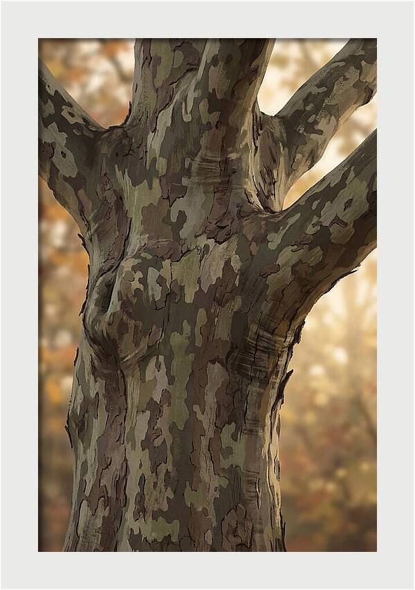London Plane Tree Camouflage