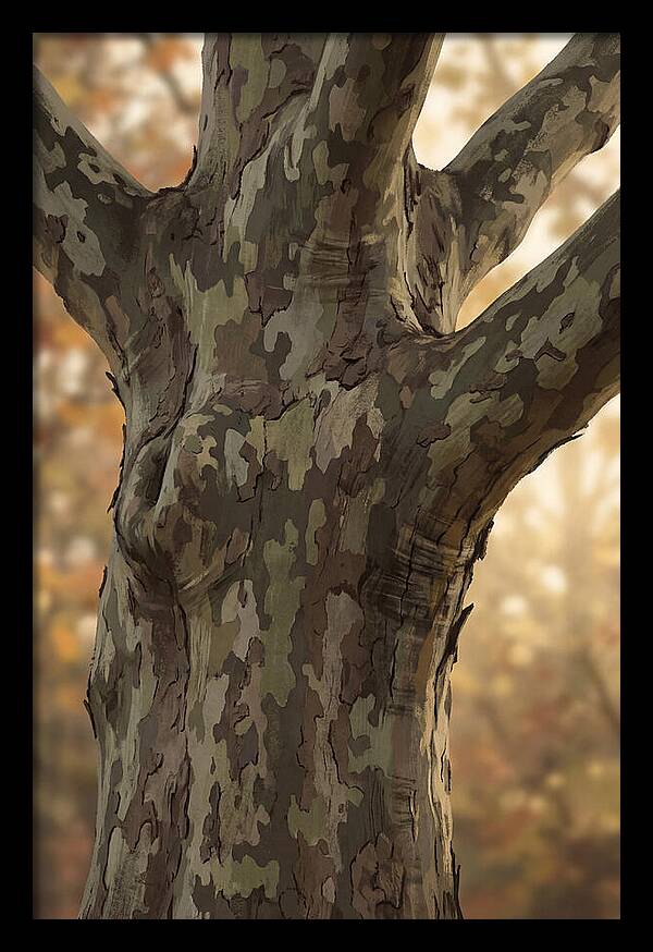London Plane Tree Camouflage
