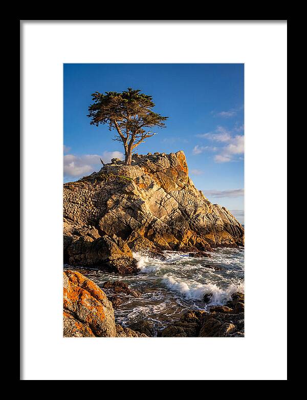 Lone Cypress At Pebble Beach